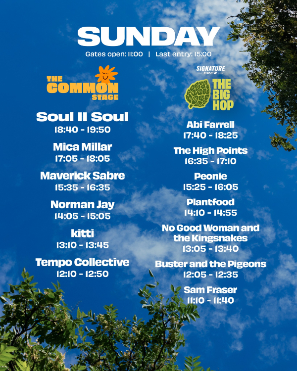 Lazydays Sunday Line Up Poster