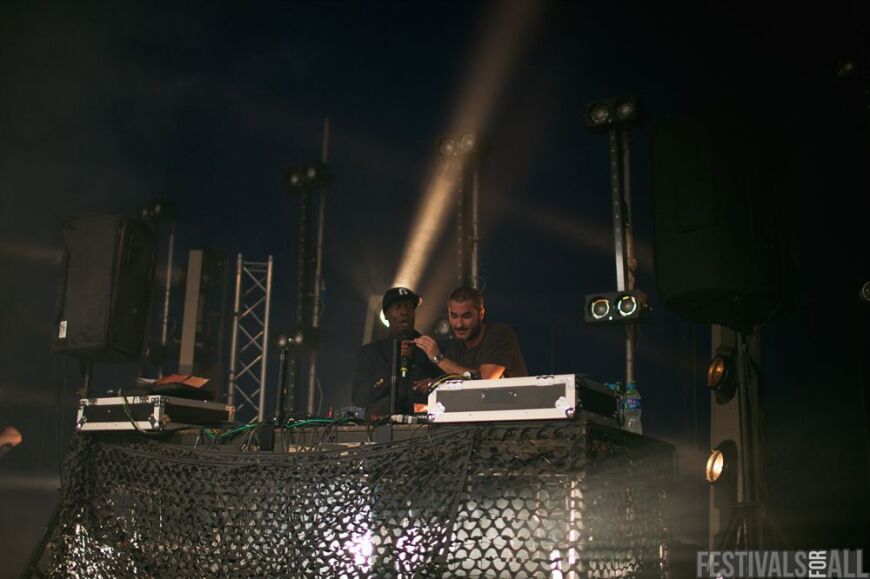 Brownstock 2012