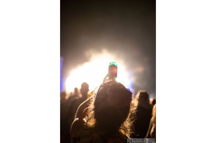 TM Brownstock Festival 2014